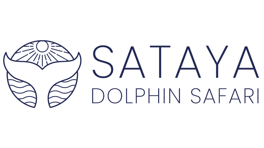 Sataya dolphing safari
